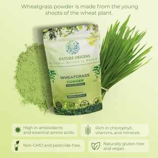 Wheat Grass Powder | Detox & Immune Support